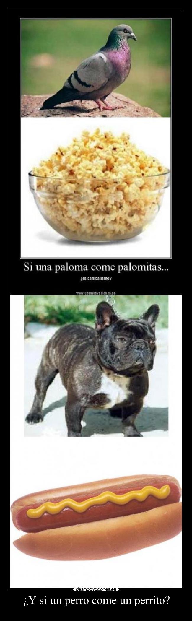 ¿Y si un perro come un perrito? - 