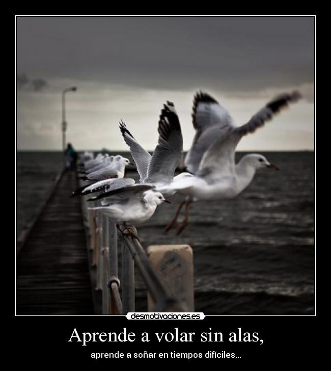 Aprende a volar sin alas, - aprende a soñar en tiempos difíciles...
