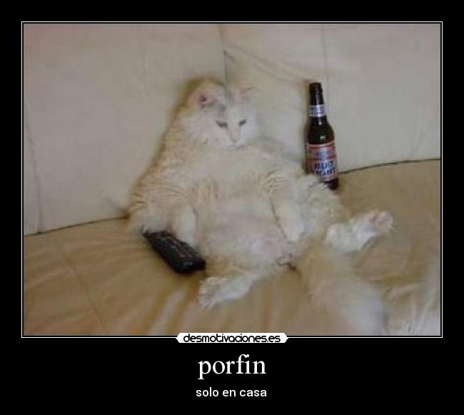 porfin - solo en casa