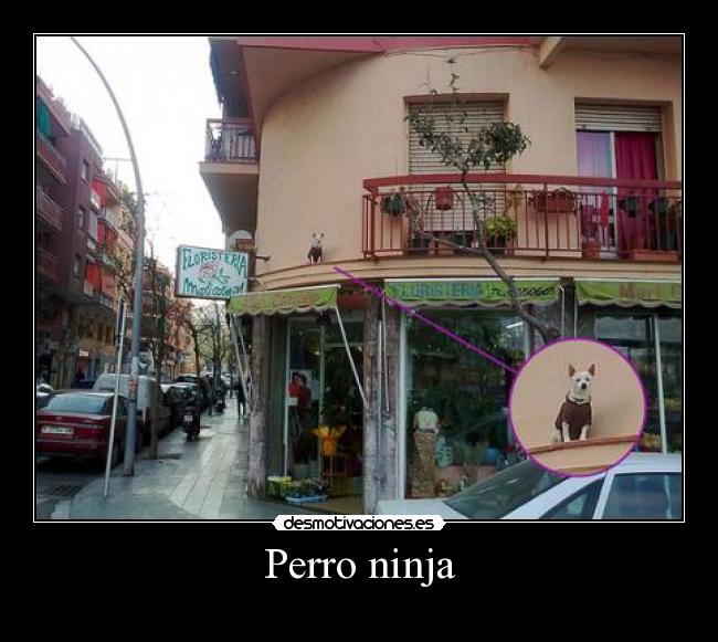 carteles comedia desmotivaciones