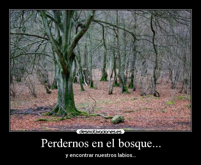 Perdernos en el bosque... -