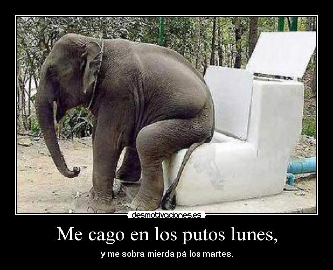 Me cago en los putos lunes, -