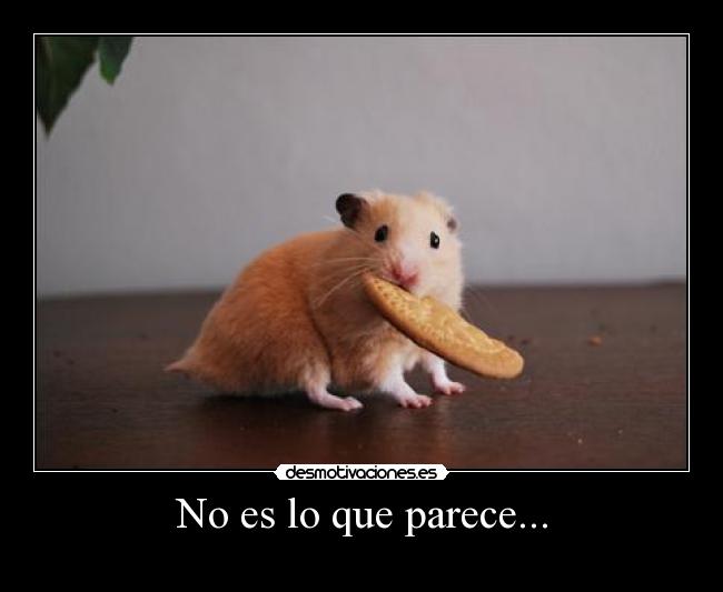 No es lo que parece... -