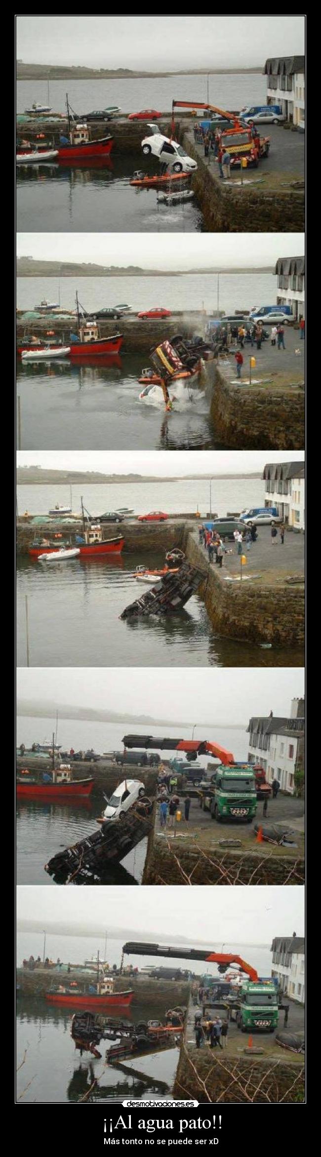¡¡Al agua pato!! - Más tonto no se puede ser xD