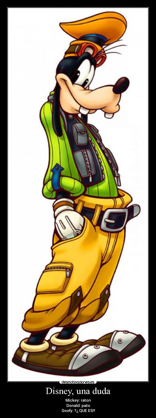 Disney, una duda - Mickey: raton
Donald: pato
Goofy: ?¿ QUE ES!!