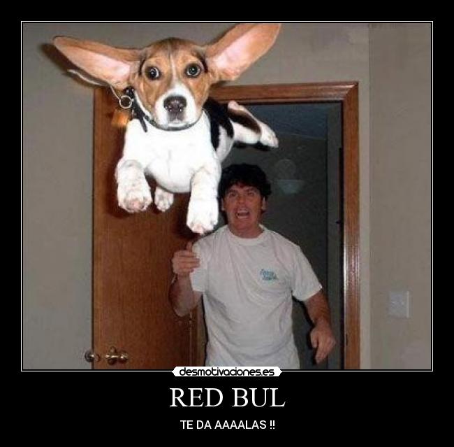 RED BUL - 