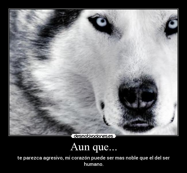 carteles laura desmotivaciones