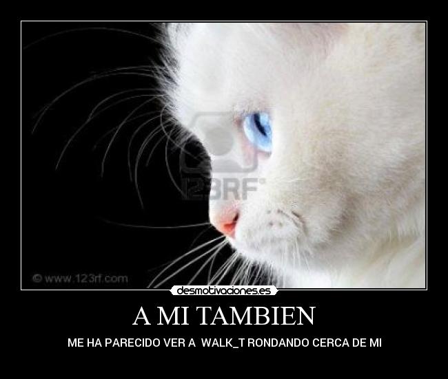 A MI TAMBIEN - ME HA PARECIDO VER A WALK_T RONDANDO CERCA DE MI