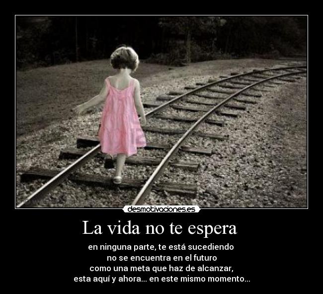 La vida no te espera  - 