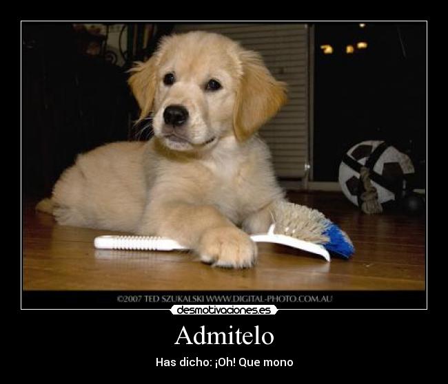 carteles toni desmotivaciones