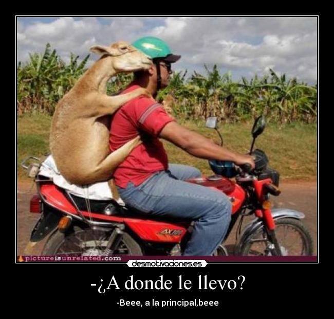 -¿A donde le llevo? -