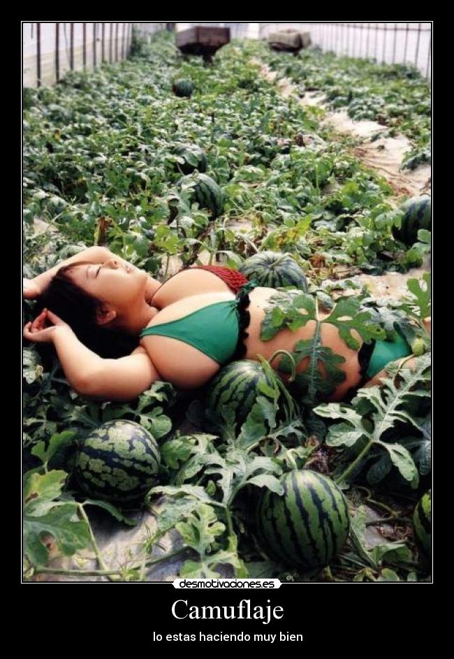 Camuflaje - lo estas haciendo muy bien
