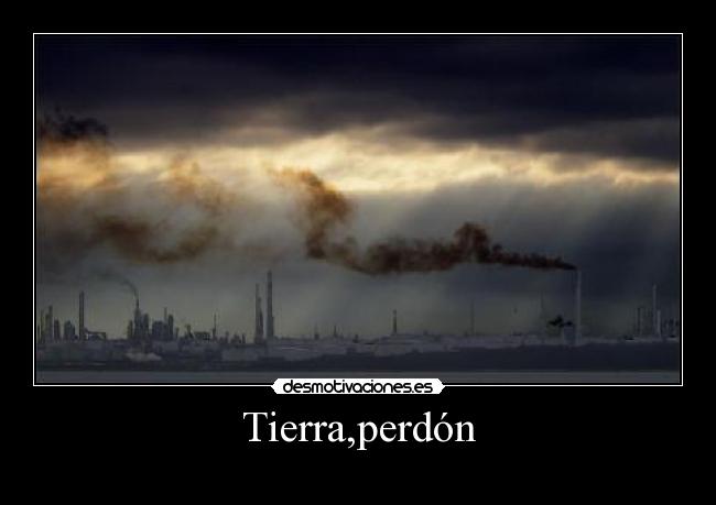 carteles tierra perdon sock desmotivaciones