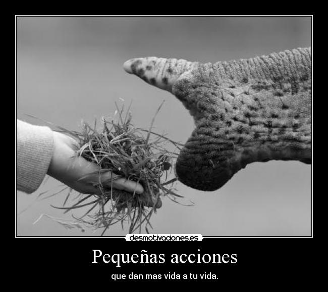 Pequeñas acciones - que dan mas vida a tu vida.