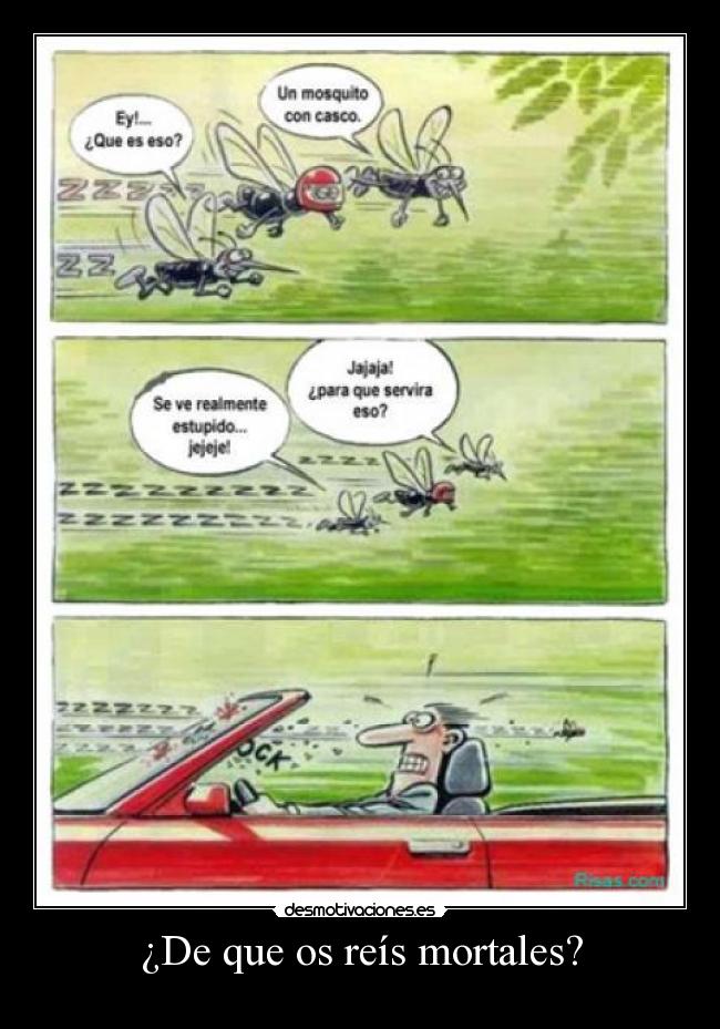 ¿De que os reís mortales? -