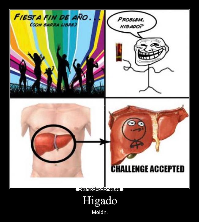 Higado - 