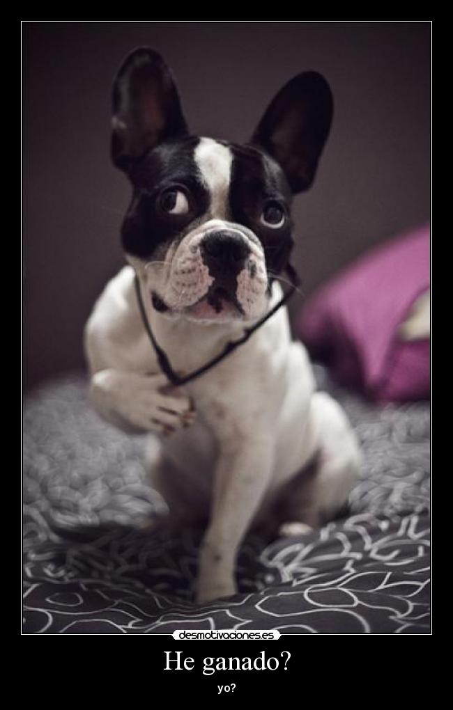 He ganado? - 