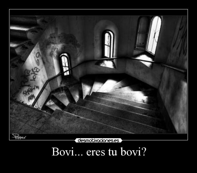 Bovi... eres tu bovi? - 