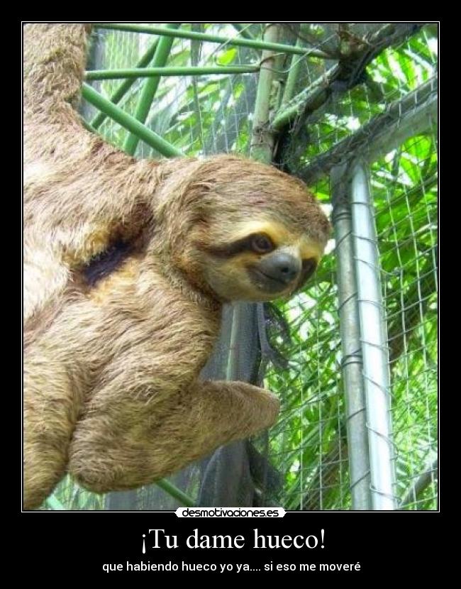 ¡Tu dame hueco! - que habiendo hueco yo ya.... si eso me moveré