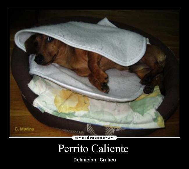 Perrito Caliente -