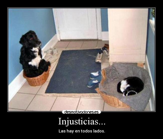 Injusticias... - Las hay en todos lados.