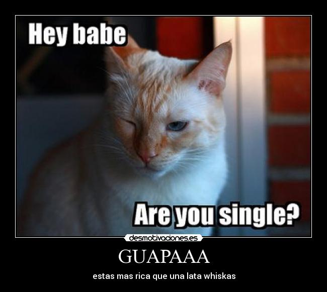 GUAPAAA -