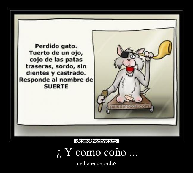 ¿ Y como coño ... - 