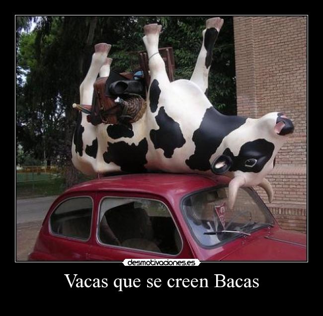 carteles vaca desmotivaciones