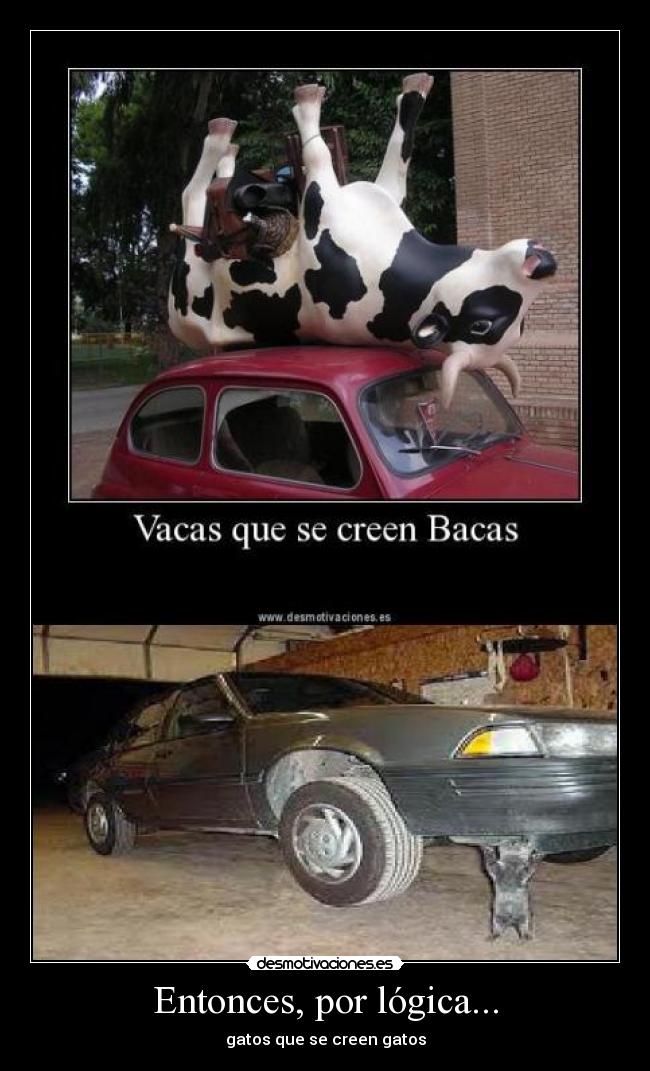 Entonces, por lógica... -