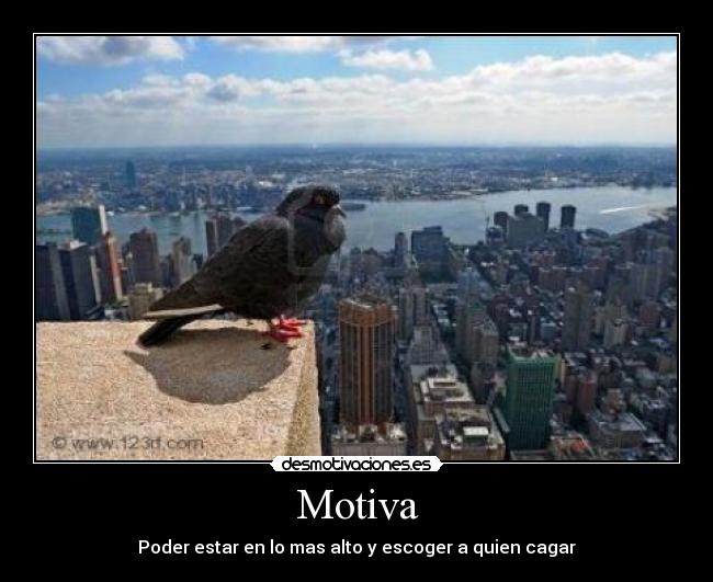 Motiva - 