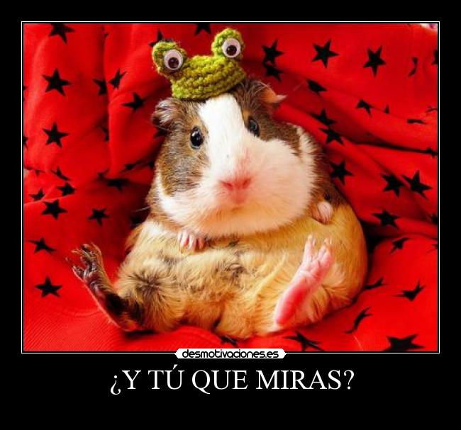 ¿Y TÚ QUE MIRAS? - 