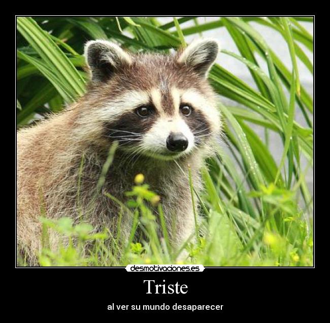 Triste -