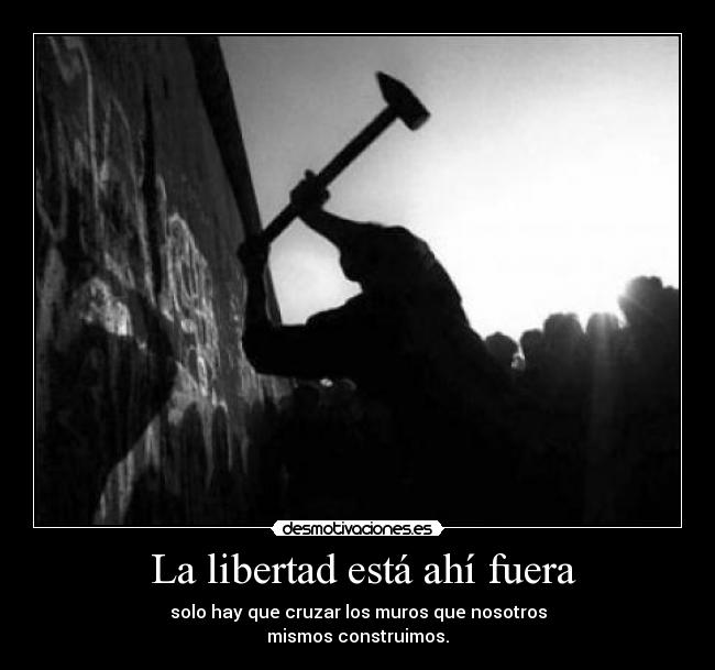La libertad está ahí fuera -