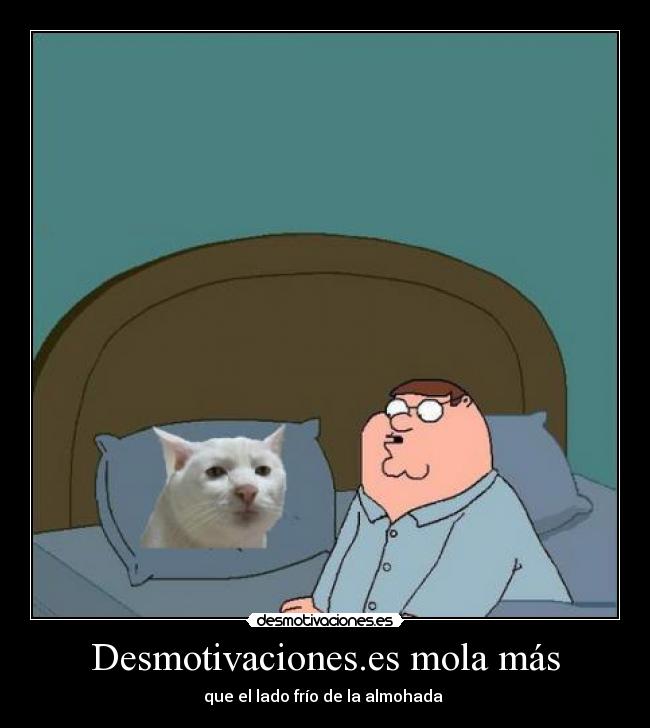 Desmotivaciones.es mola más -