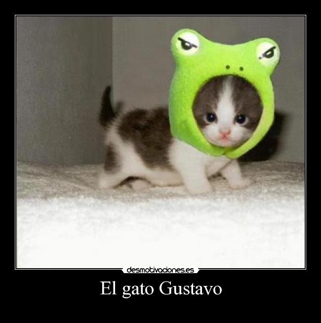 El gato Gustavo - 