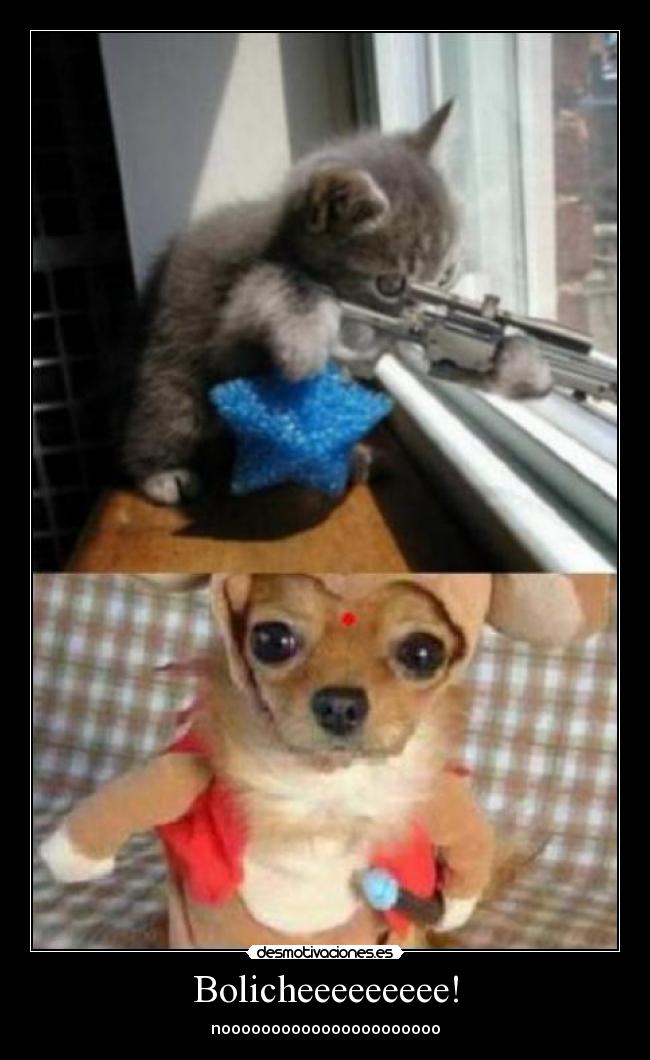 Bolicheeeeeeeee! - noooooooooooooooooooooo