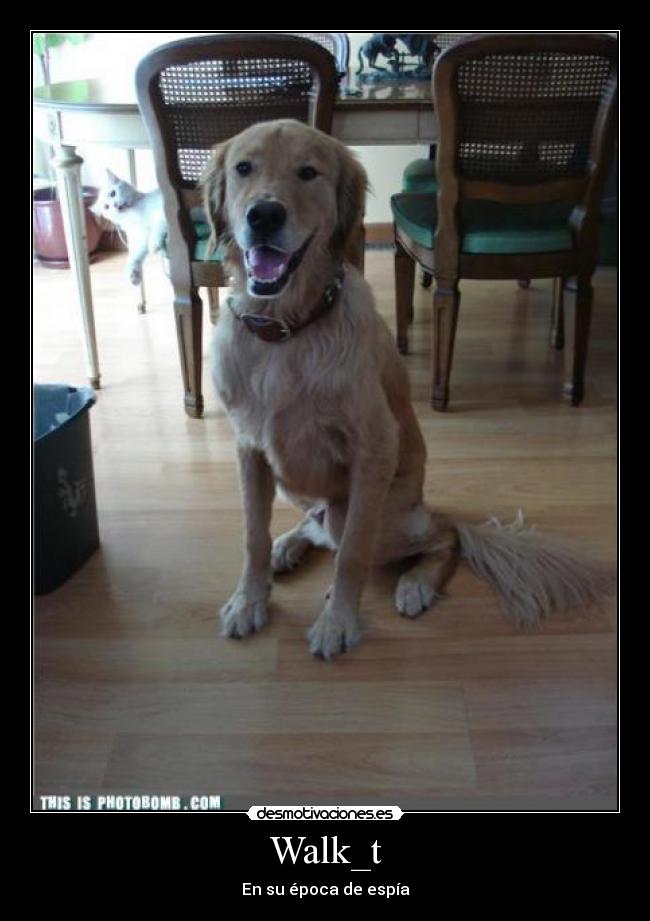 Walk_t - En su época de espía