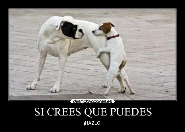 SI CREES QUE PUEDES - ¡HAZLO!