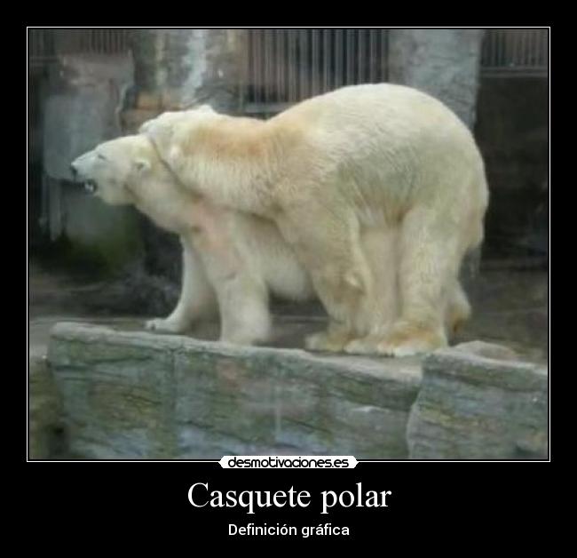 Casquete polar -