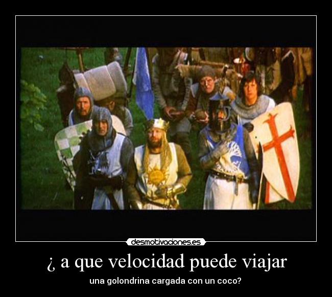 ¿ a que velocidad puede viajar - una golondrina cargada con un coco?