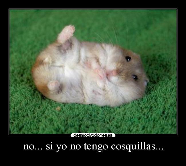 no... si yo no tengo cosquillas... - 