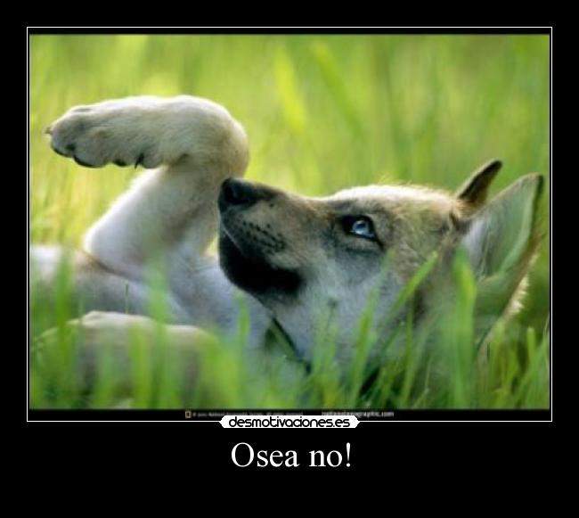 Osea no! -
