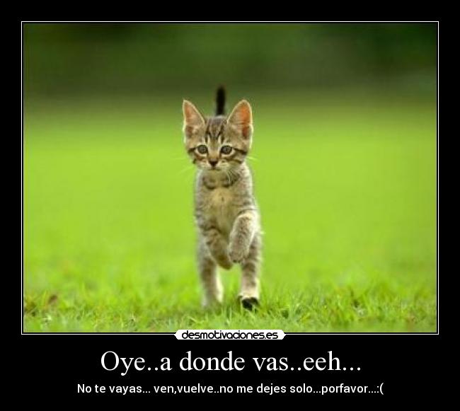 Oye..a donde vas..eeh... - No te vayas... ven,vuelve..no me dejes solo...porfavor...:(