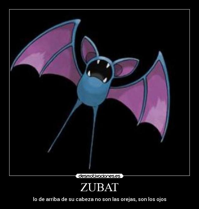 ZUBAT - lo de arriba de su cabeza no son las orejas, son los ojos