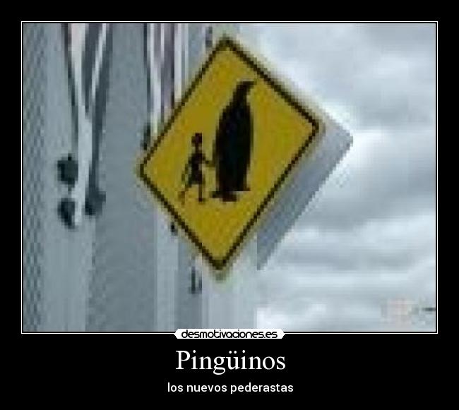 Pingüinos - los nuevos pederastas