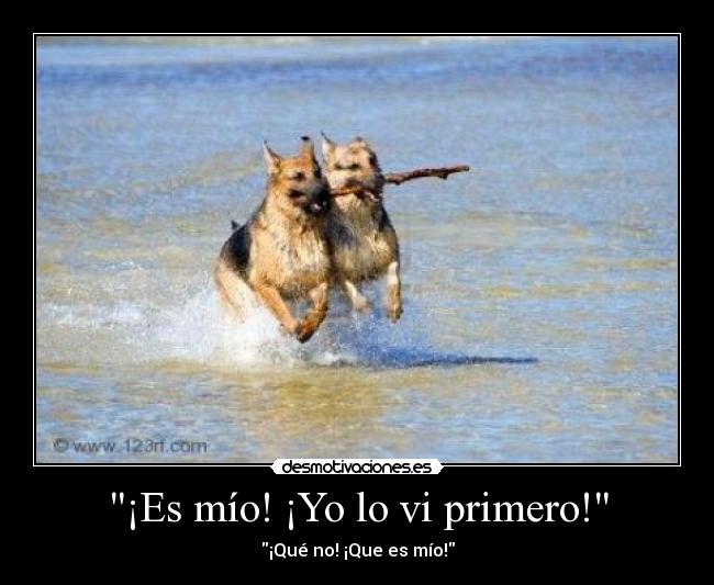 ¡Es mío! ¡Yo lo vi primero! - 