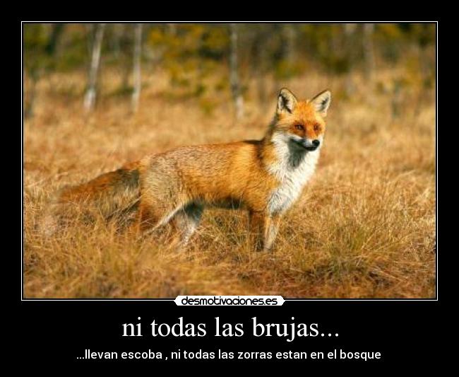 ni todas las brujas... - 