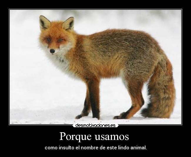 Porque usamos  - como insulto el nombre de este lindo animal.