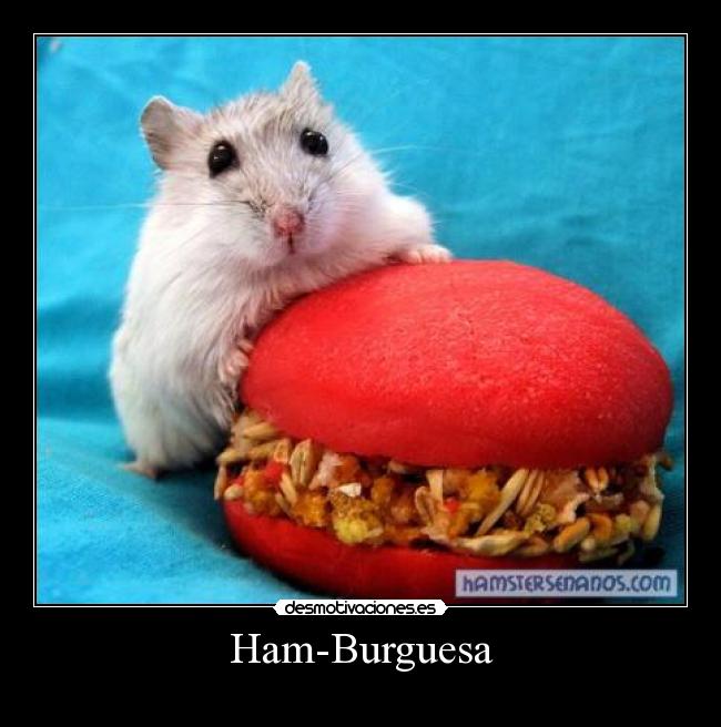 Ham-Burguesa - 