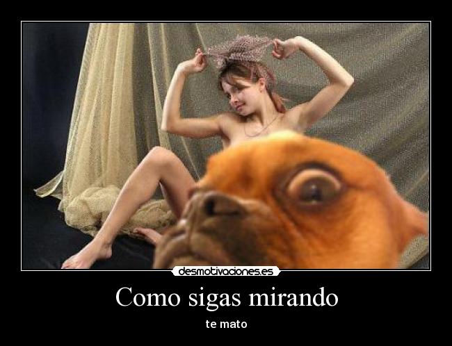 Como sigas mirando - te mato